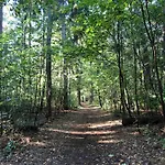 Isaro
