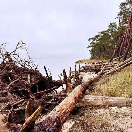 Isaro Casa de Férias *